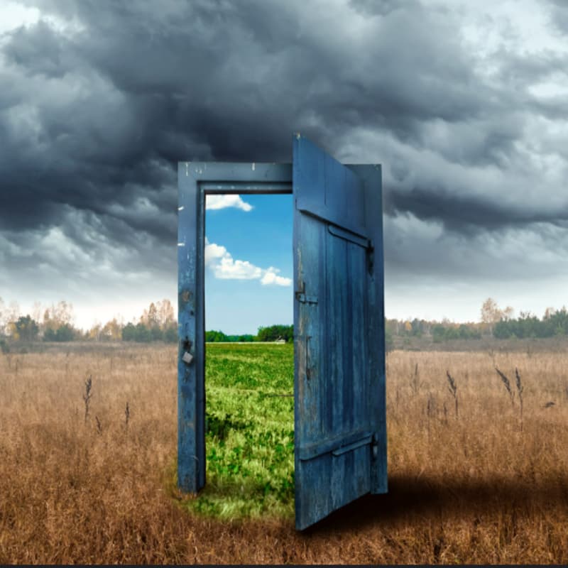 Cover Image for Risk & Downside Protection