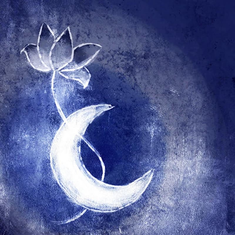 Cover Image for Vedic Lifestyle Podcast