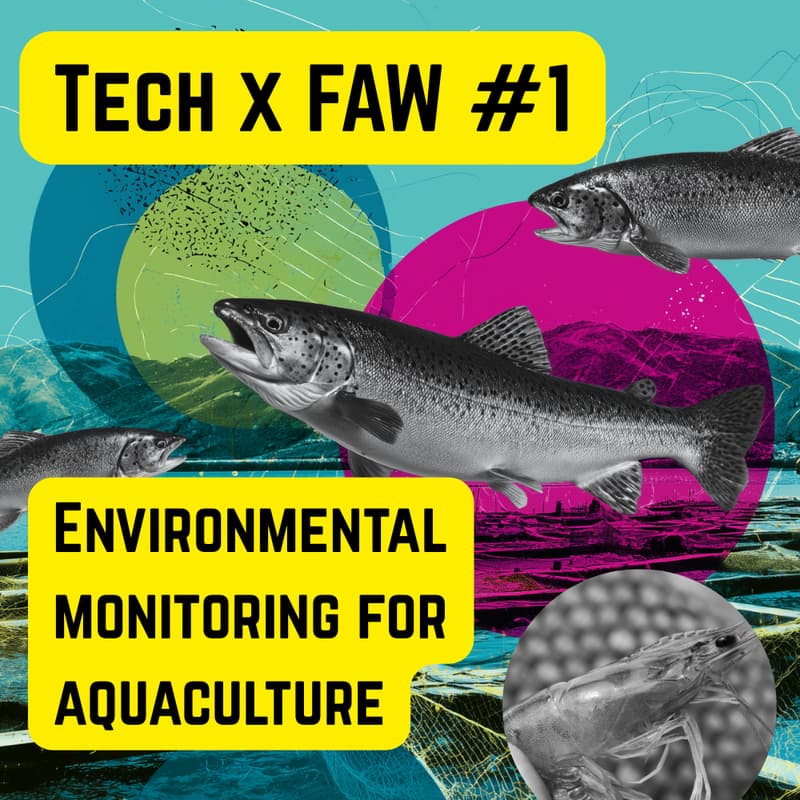 Cover Image for Tech x FAW #1 Environmental monitoring for aquaculture