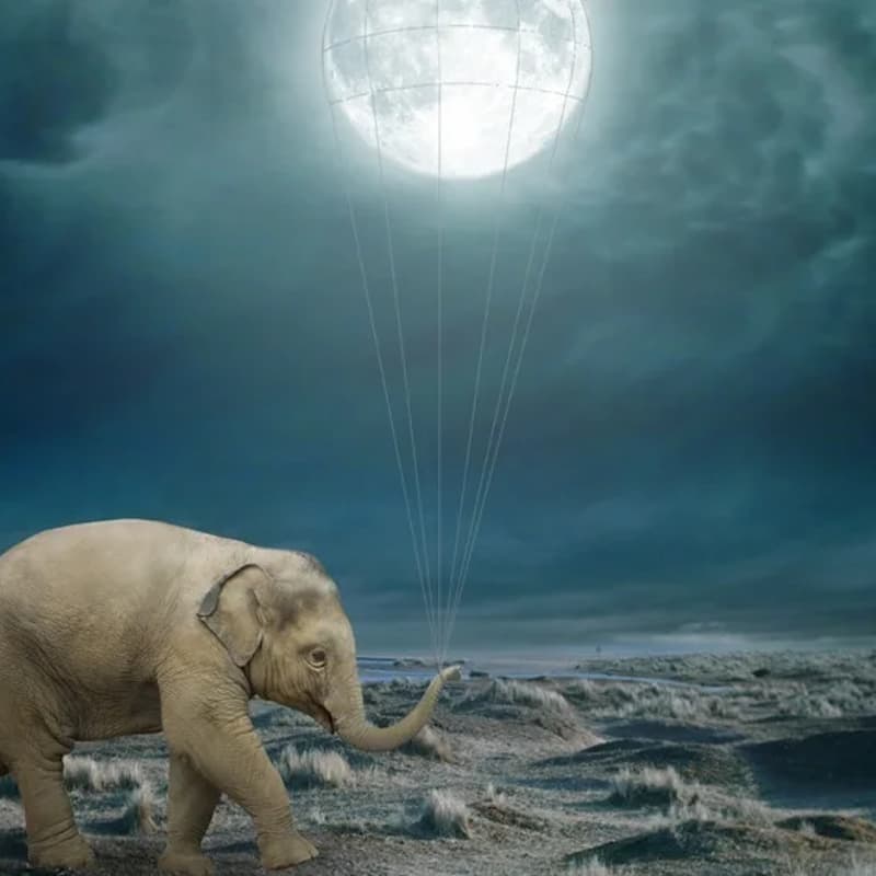 Cover Image for SupportVectors Weekly AI paper reading