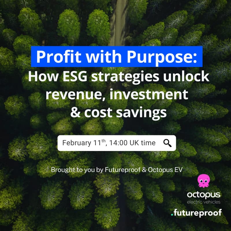 Cover Image for How ESG strategies unlock revenue, investment & cost savings