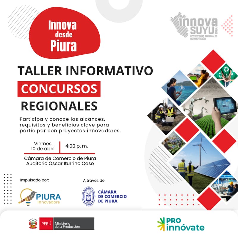 Cover Image for Taller informativo - Concursos regionales
