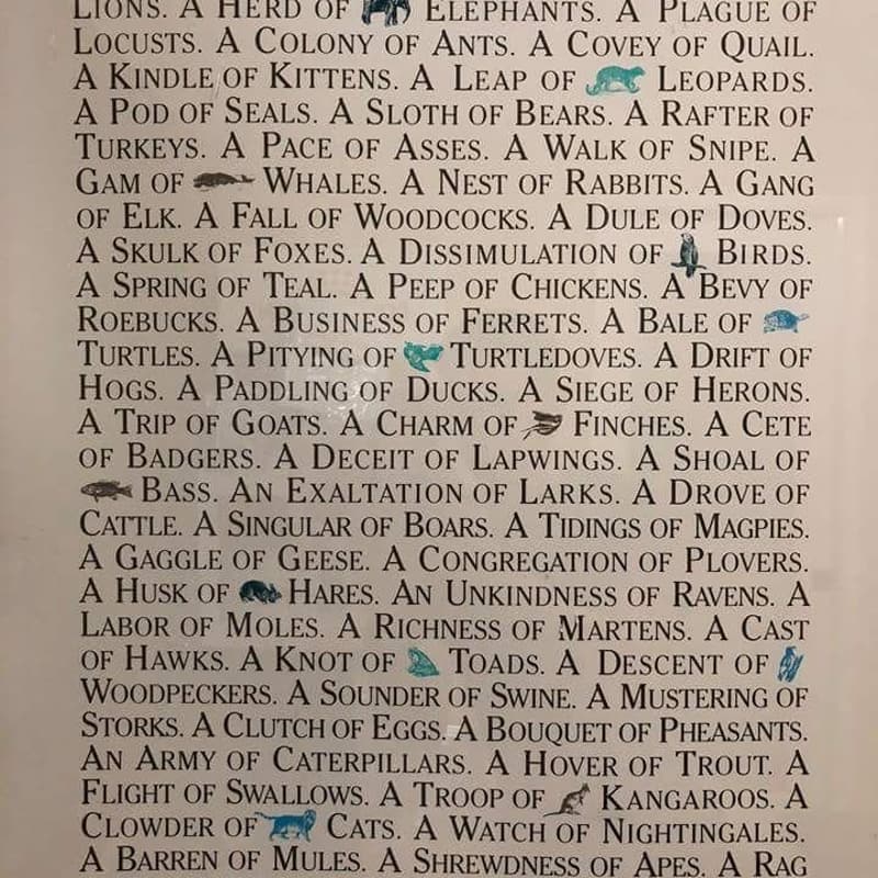 Cover Image for Herd/Species