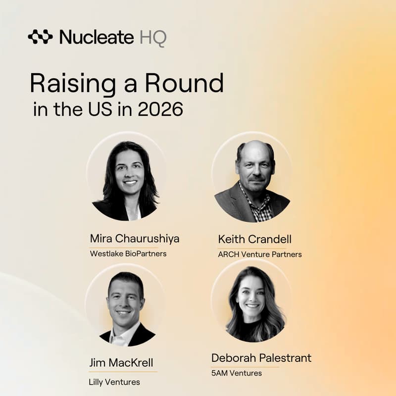 Cover Image for Raising a Round in 2026