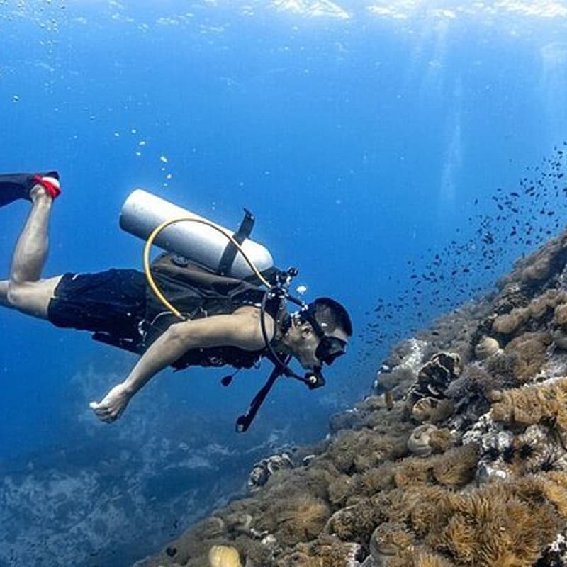 Cover Image for 🤿🐬 Scuba Dive @ Koh Tao