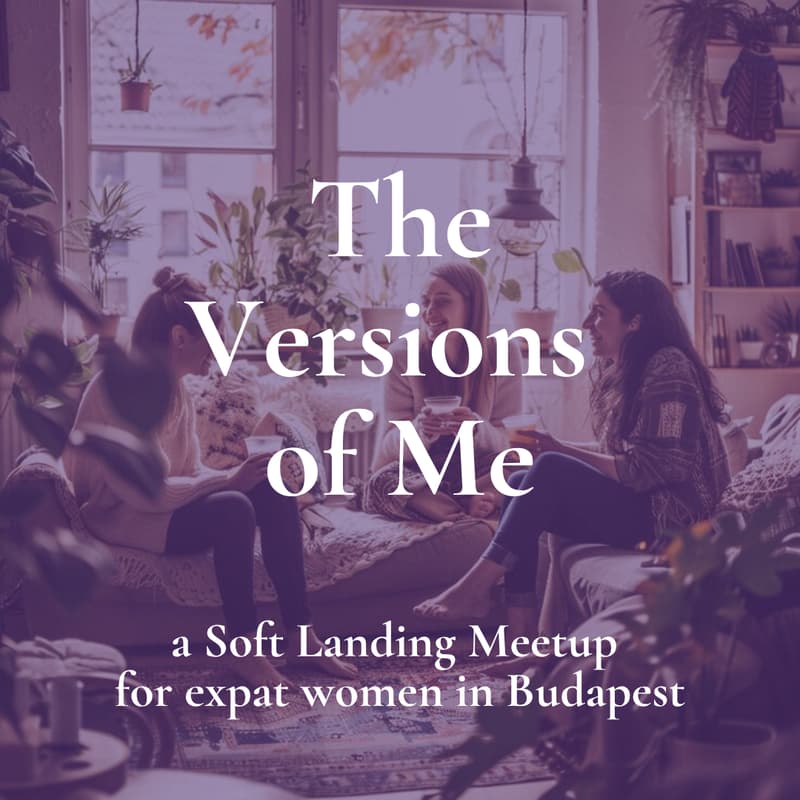 Cover Image for Soft Landing Meetup - The Versions of Me