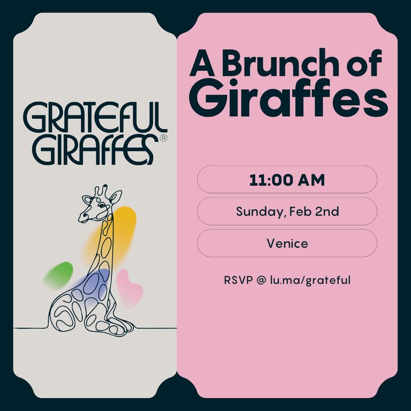Cover Image for A Brunch of Giraffes: Venice