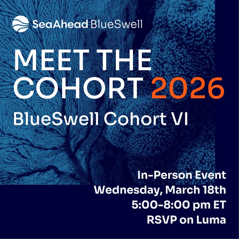 Cover Image for Meet the Cohort 2026