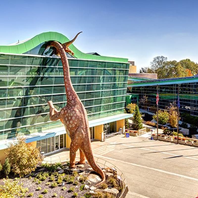 Cover Image for Children's museum meet up