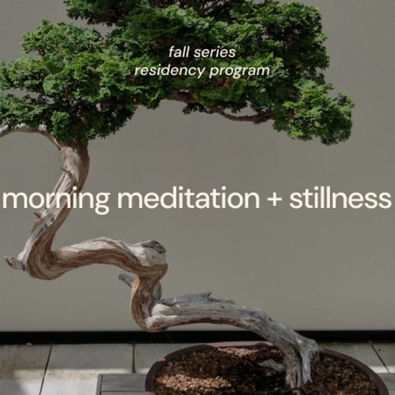 Cover Image for morning meditation + stillness + cacaowboy ceremony