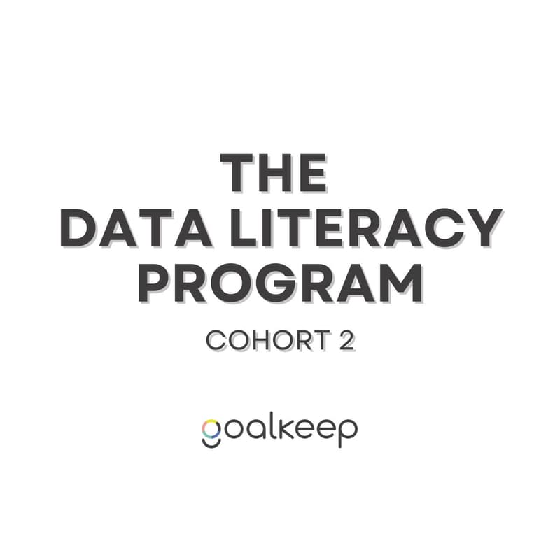 Cover Image for Understanding The Data Literacy Program