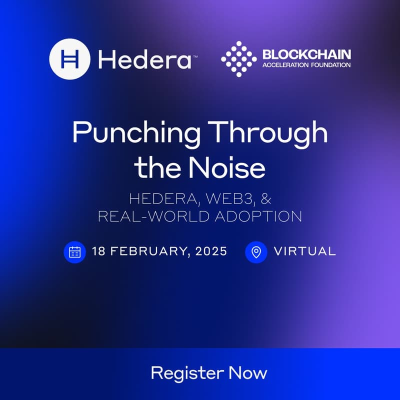 Cover Image for Punching Through the Noise: Hedera, Web3, and Real-World Adoption