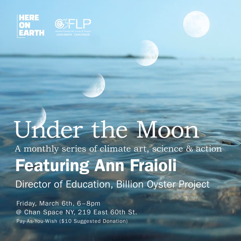 Cover Image for Under the Moon: Ft. Ann Fraioli (Billion Oyster Project)