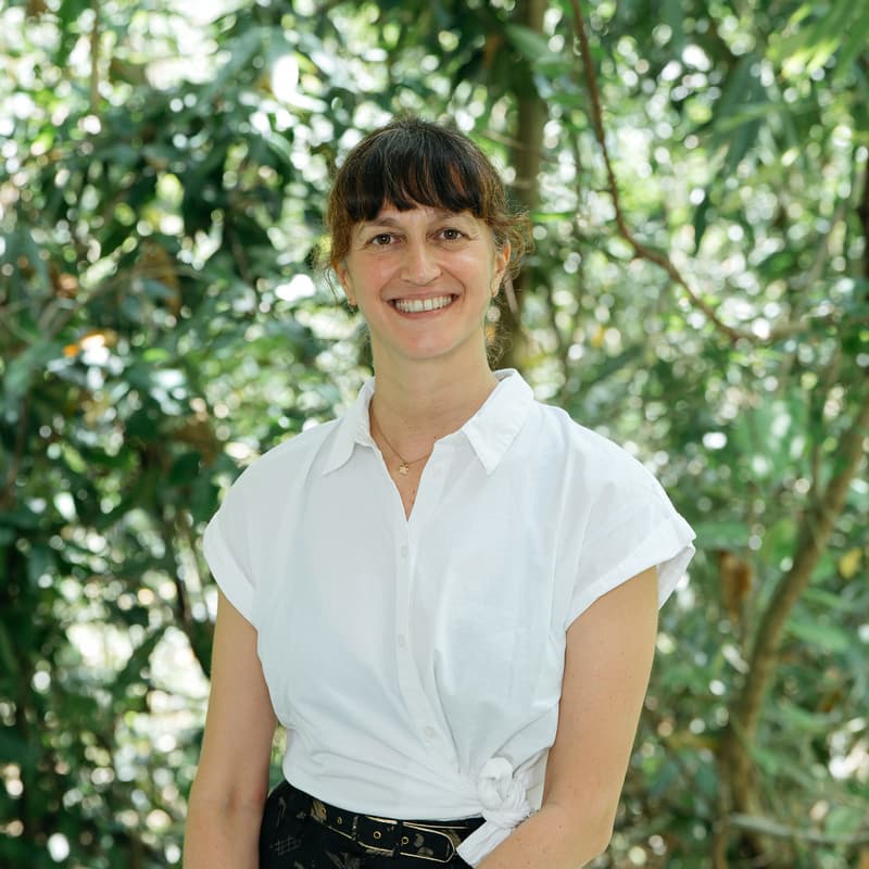 Foto de portada de Cocina Plant-based