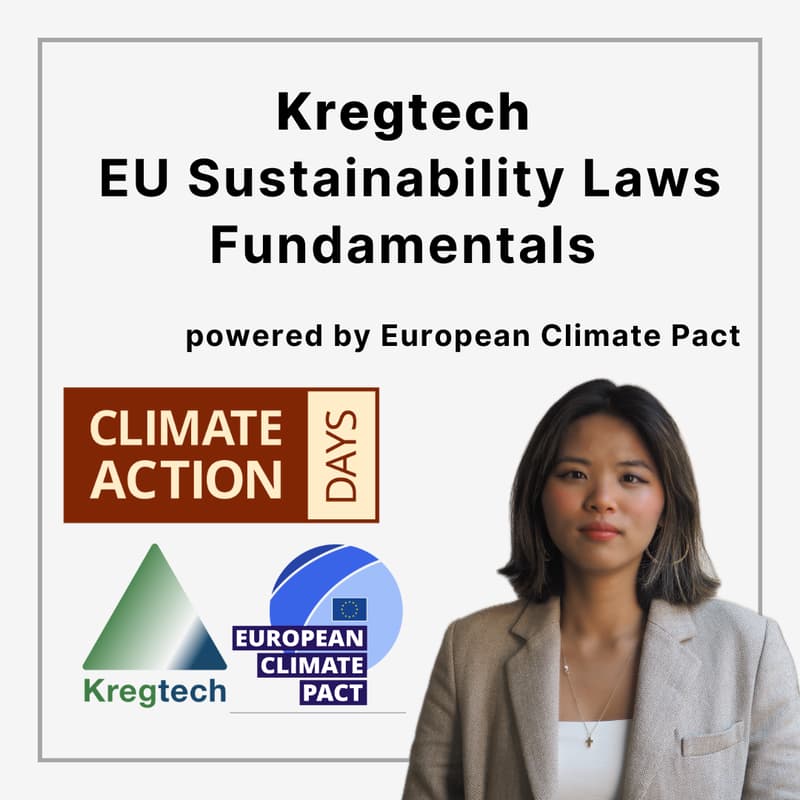 Cover Image for EU Sustainability Laws Fundamentals: Beyond CSRD, CSDDD, EU Taxonomy