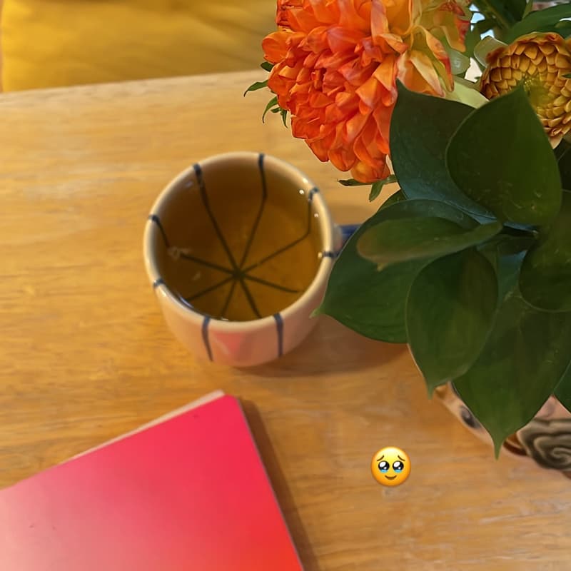 Cover Image for 🤠 Journal + Dream: A Sunday Reset