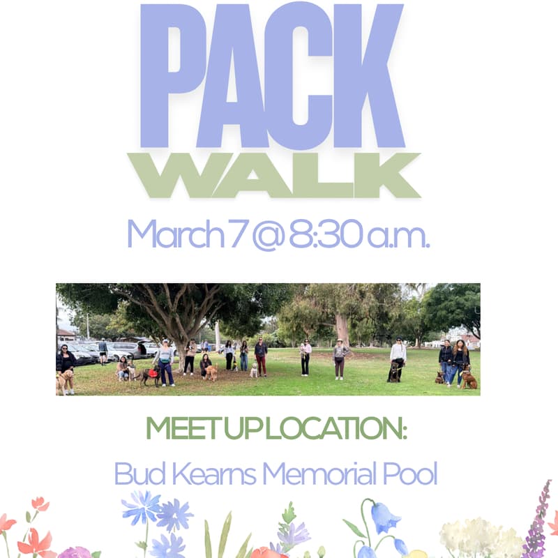 Cover Image for Good Girls SD Pack Walk