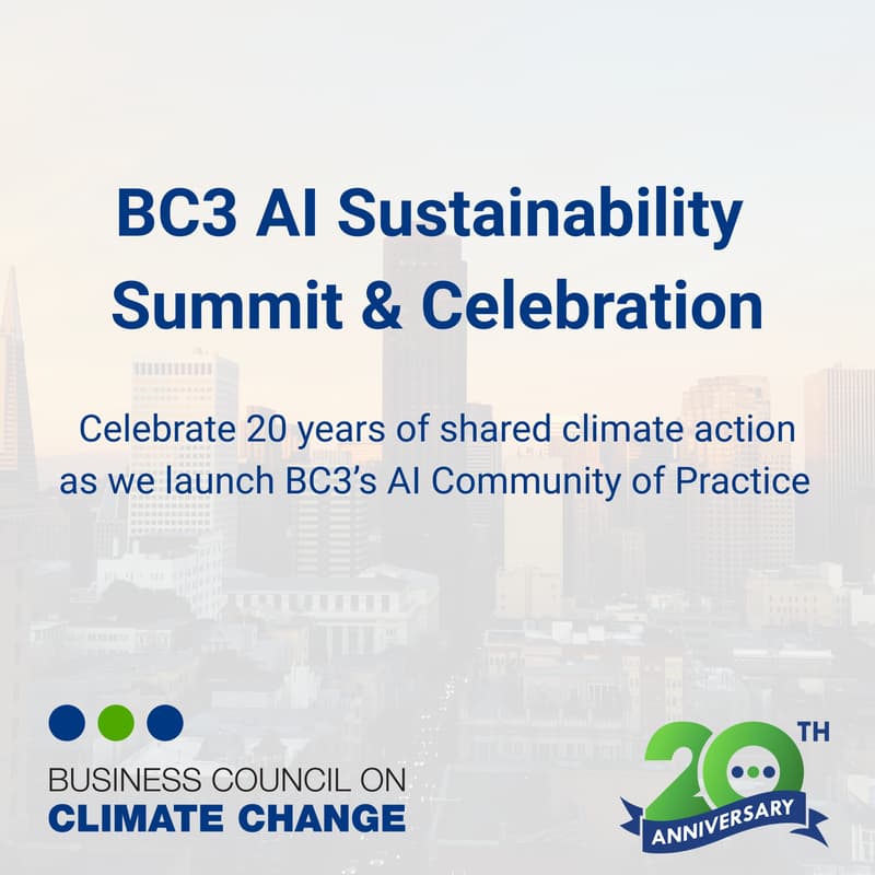 Cover Image for BC3 AI Sustainability Summit & Celebration