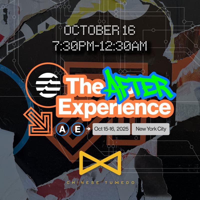 Cover Image for The After Experience