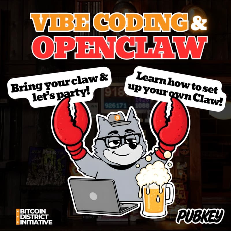 Cover Image for Vibe Coding & OpenClaw | PubKey DC
