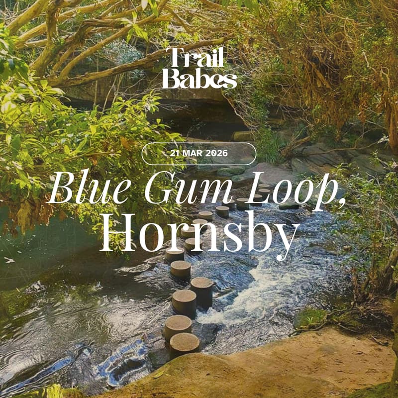 Cover Image for Blue Gum Loop, Hornsby | TrailBabes Hike #12