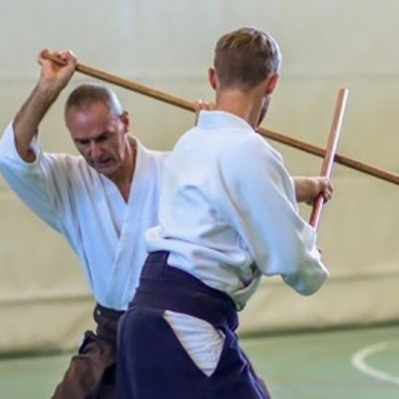 Cover Image for Preserving The Legacy Series Aikido Seminar
