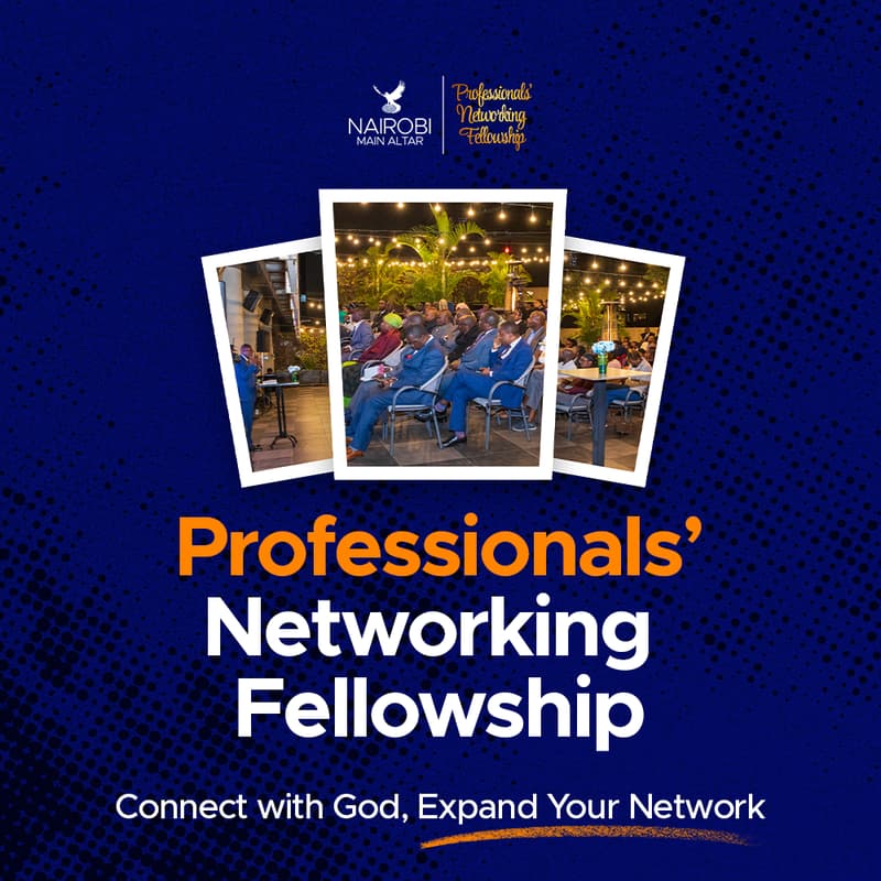 Cover Image for Professionals' Networking Fellowship