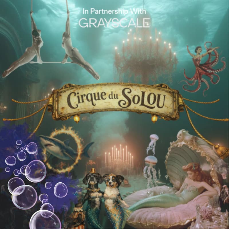 Cover Image for Cirque du SoLOU