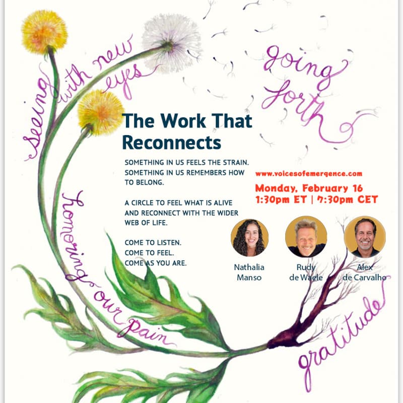 Cover Image for The Work That Reconnects