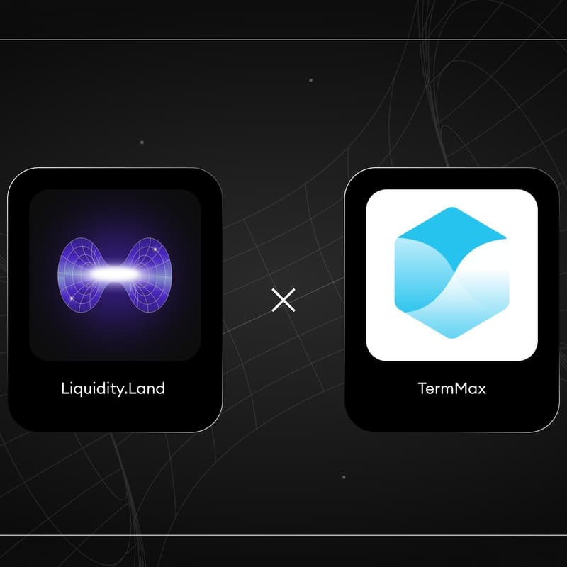 Cover Image for TermMAX AMA with Liquidity Land
