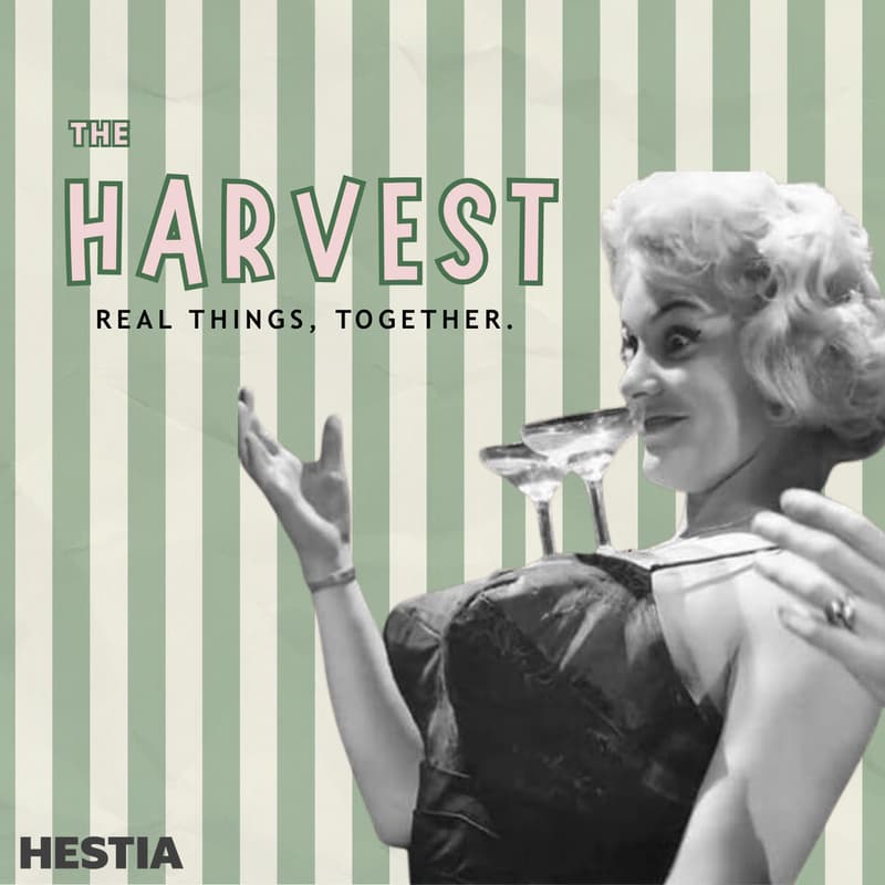 Cover Image for The Harvest