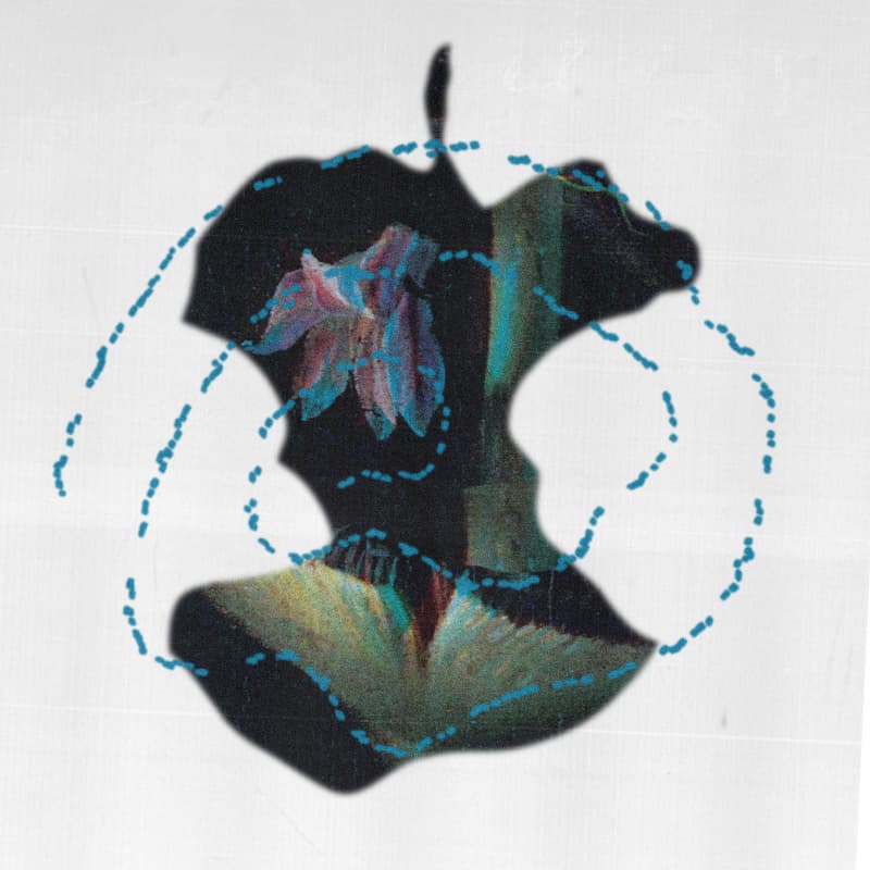 Cover Image for Consumption Book Club