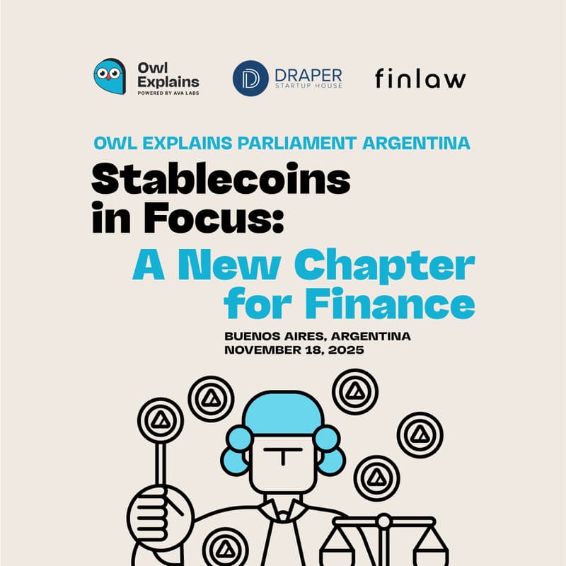 Cover Image for Owl Explains Parliament Argentina