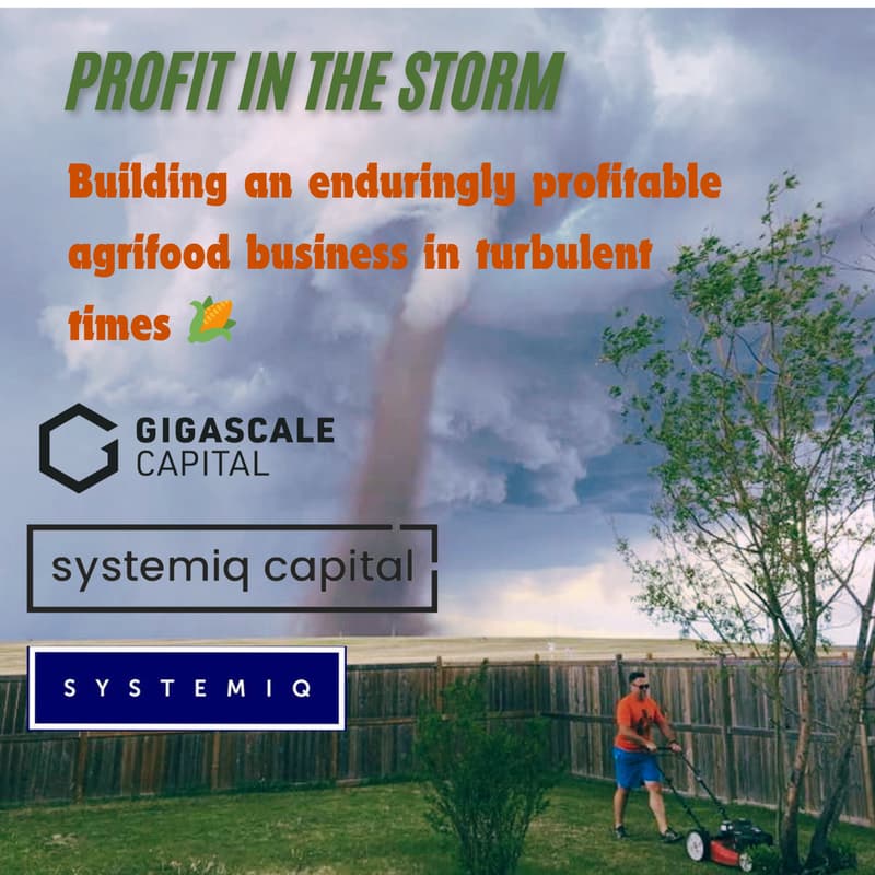 Cover Image for Profit in the storm - building an enduringly profitable agrifood business in turbulent times