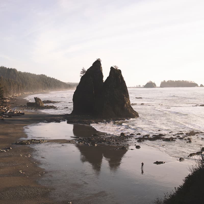 Cover Image for Adapting Together: Sea Level Rise and Coastal Resilience