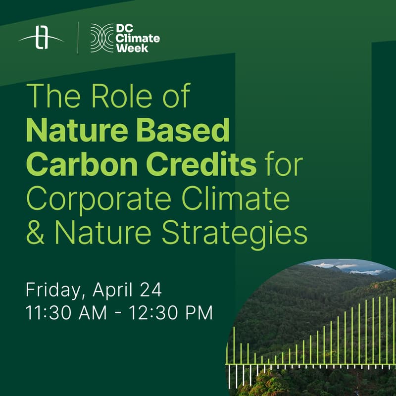Cover Image for The Role of Nature Based Carbon Credits for Corporate Climate and Nature Strategies