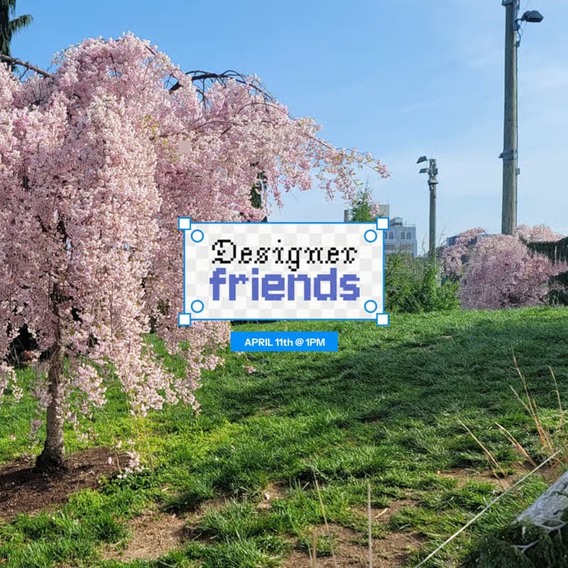 Cover Image for Cherry Blossom Picnic in Brooklyn Bridge Park