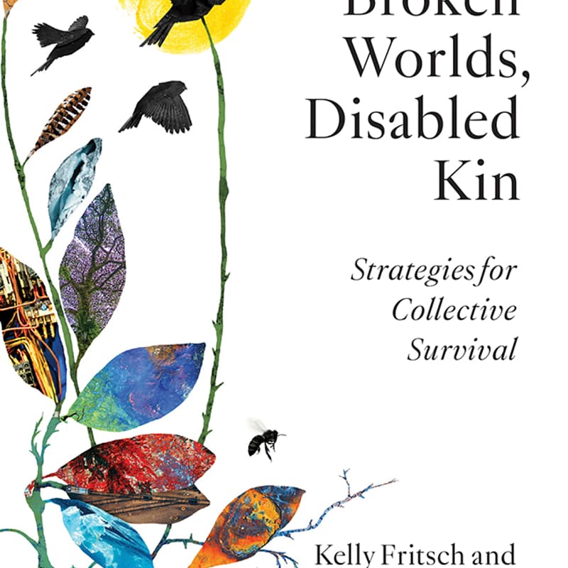 Cover Image for Broken Worlds, Disabled Kin: Strategies for Collective Survival