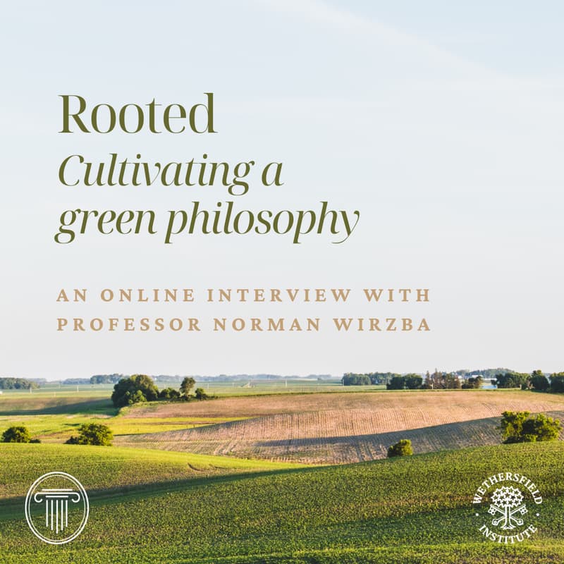 Cover Image for Rooted: an Interview with Professor Norman Wirzba