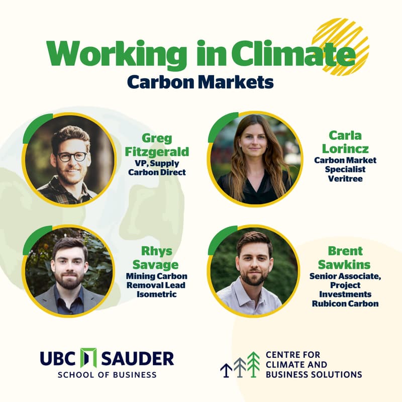 Cover Image for Working in Climate Series: Carbon Markets