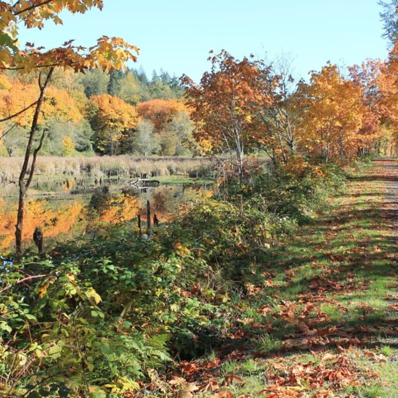 Cover Image for Centific Locwalk with GlobalSake