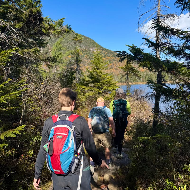 Cover Image for Spring Lake Stroll - Vermont