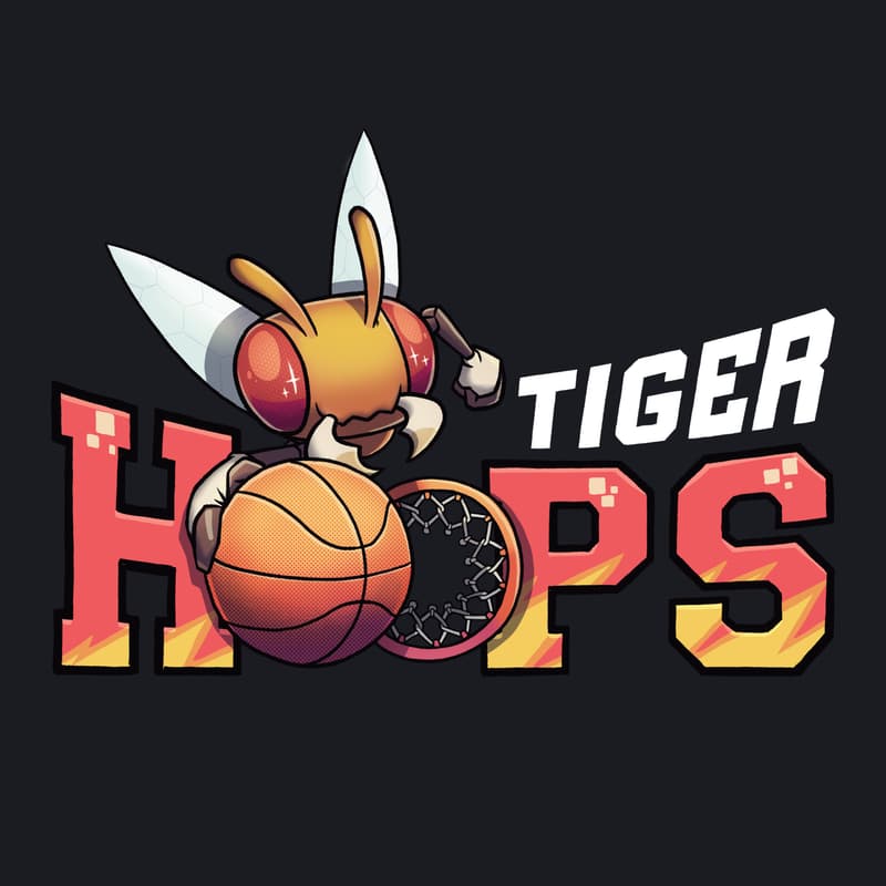Cover Image for TigerHoops Boston