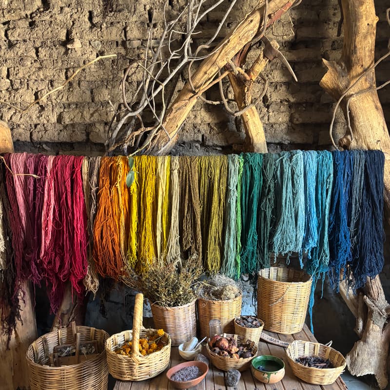 Cover Image for Colors of Oaxaca