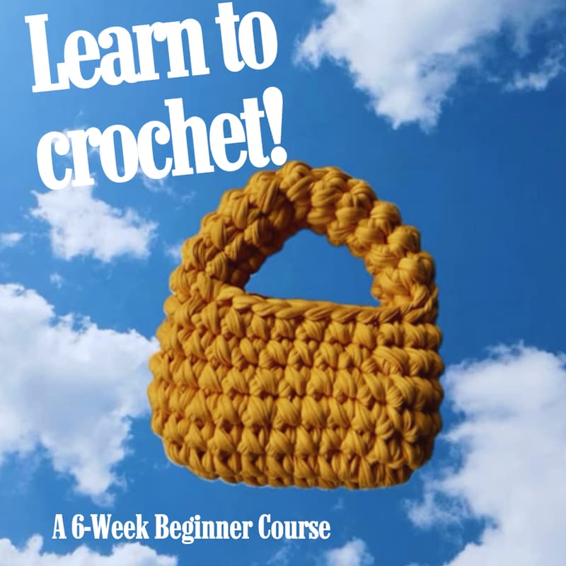 Cover Image for Learn-to-Crochet 6 week Class