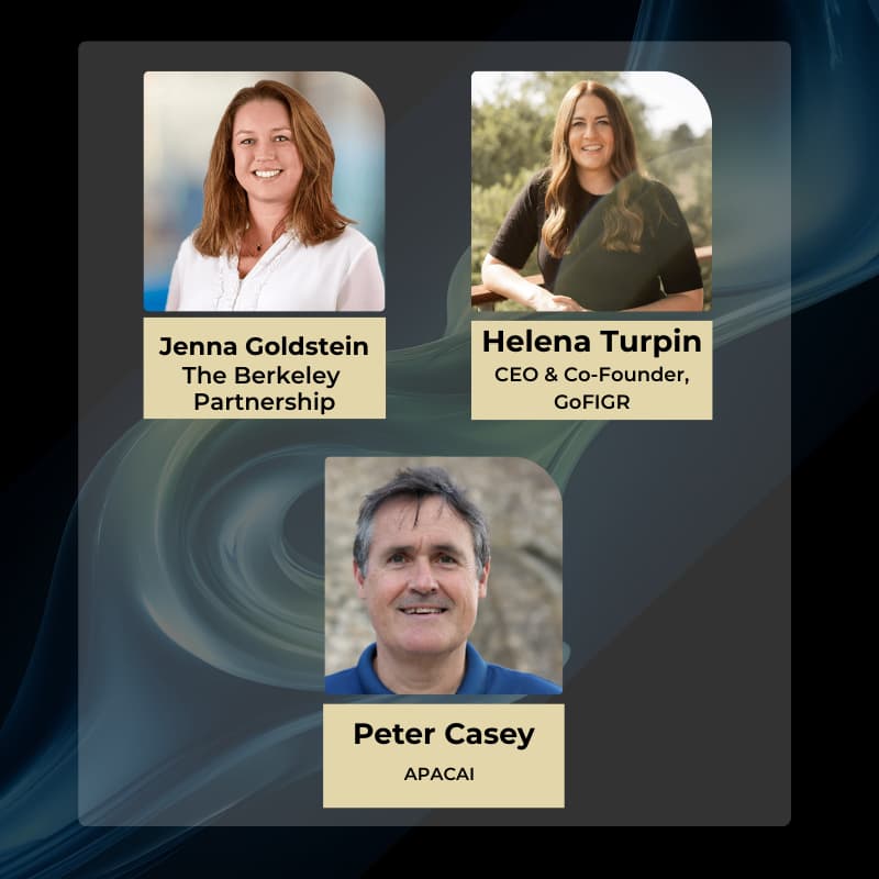 Cover Image for Designing the Organisation of 2030: Workforce Planning, Skills and Optimisation in an AI World