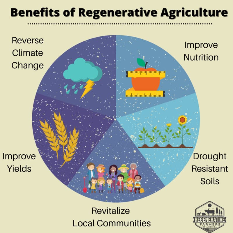 Cover Image for Regenerative Agriculture and Global Food Security