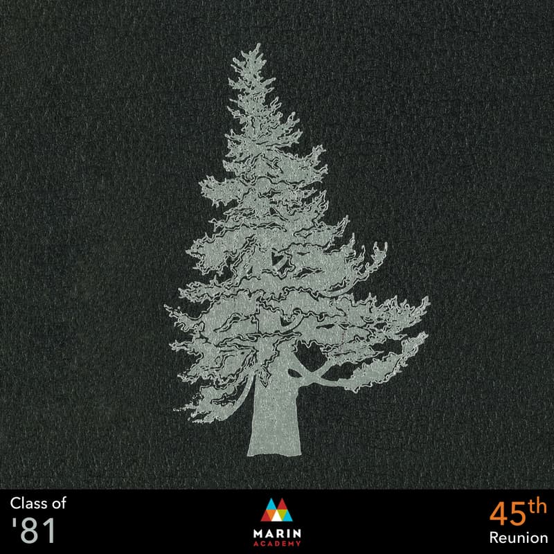 Cover Image for 45th Reunion MA Class of 1981