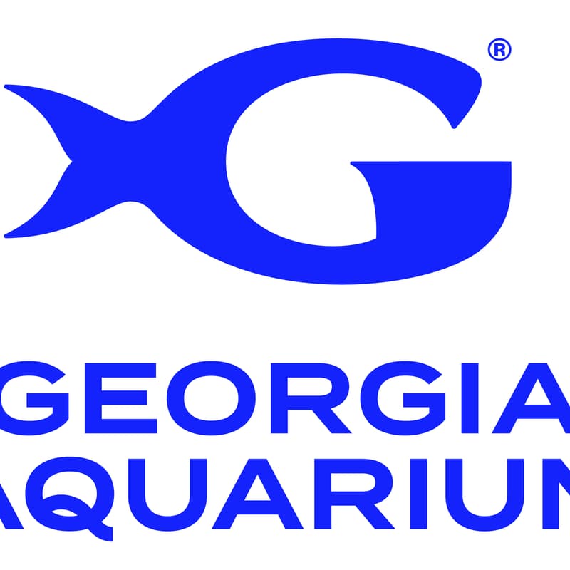 Cover Image for Executive Roundtable with Georgia Aquarium Leadership feat. Dan Dipiazzo (Chief Marketing Officer)