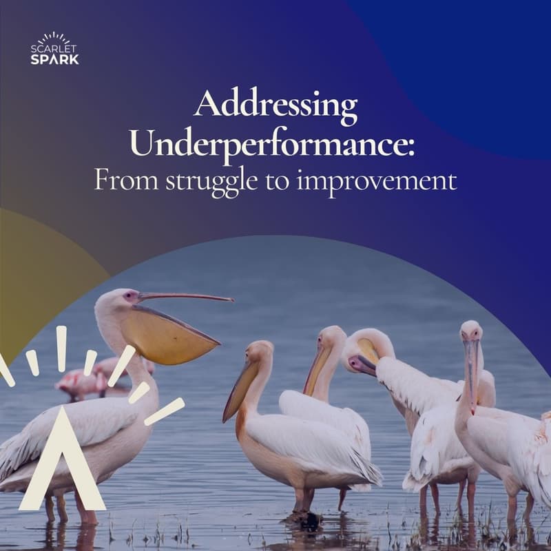 Cover Image for Addressing Underperformance: From Struggle to Improvement